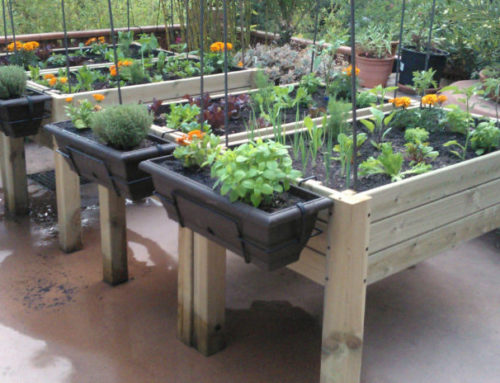 Cómo escoger tu mesa de cultivo