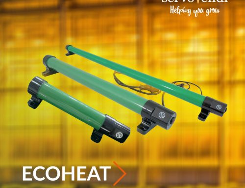 LightHouse EcoHeat – Calefactores de invernadero para entornos de cultivo estables